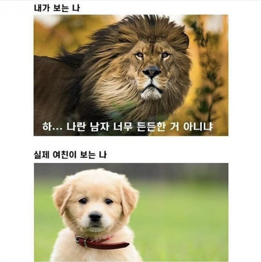 남자들의 흔한 착각(1)