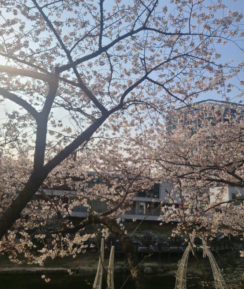 퇴근길 소녀감성(0)