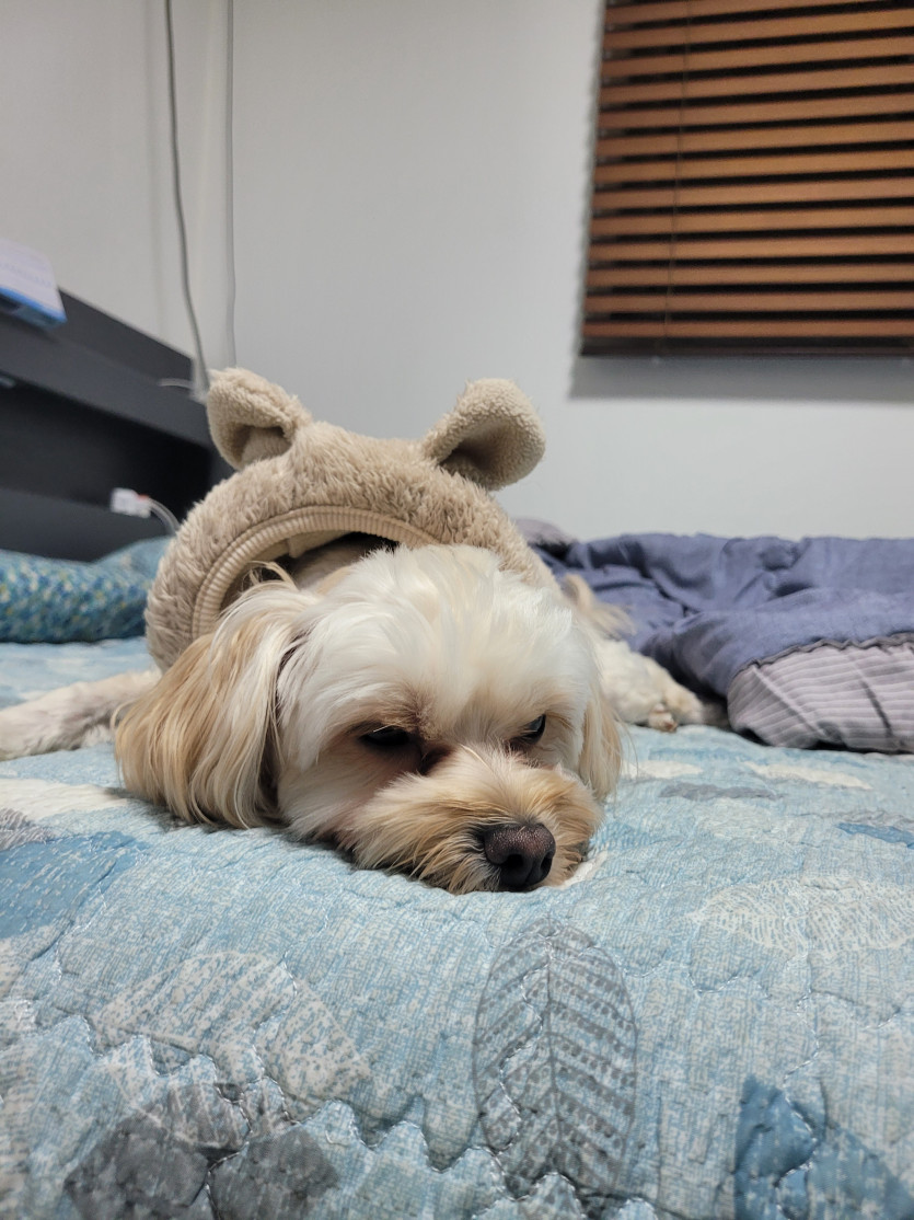 너무푹잤넼ㅋㅋ(0)
