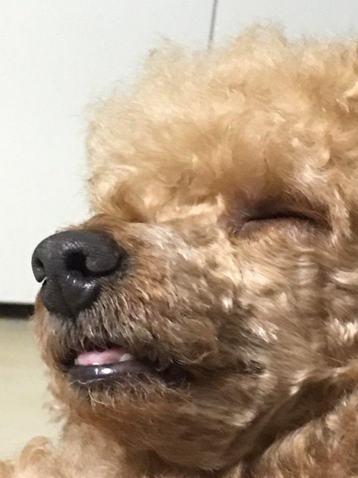 먼저 들어 갑니다...(0)