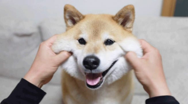 졸려요(0)