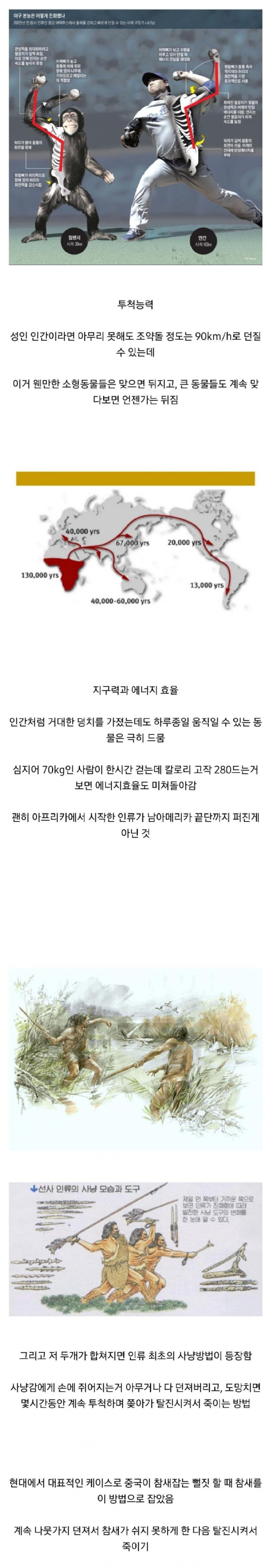 인간이 피지컬로 동물이기는 부분(0)