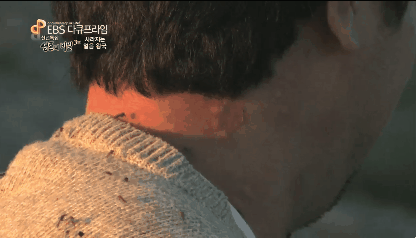 -모기와의전쟁-(1)