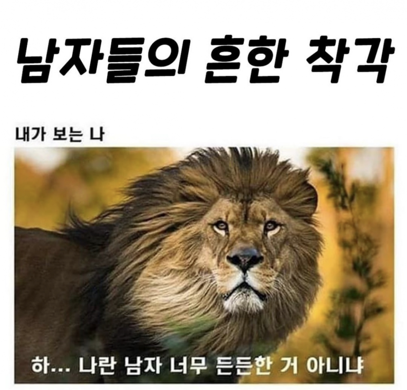 남자들의 흔한 착각(0)
