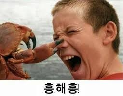 박카라님 어디계세요 ㅠㅠ(0)