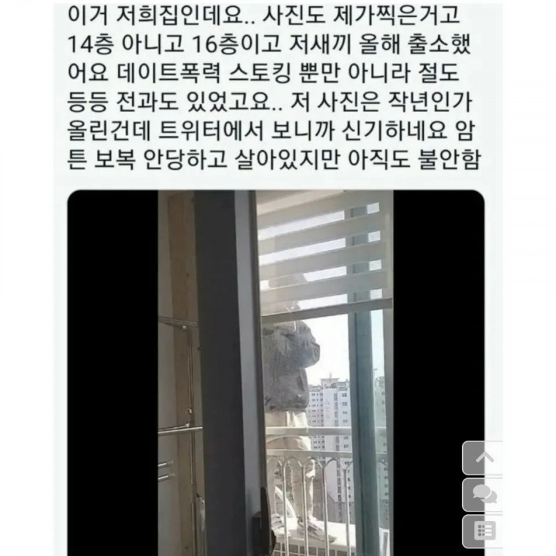 한국의 스파이더맨.jpg(0)