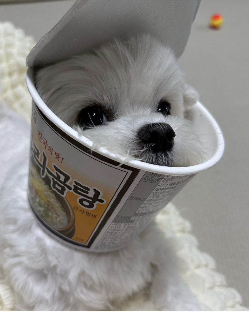 자야하는데..(0)