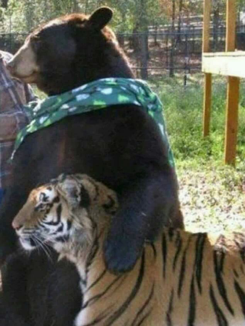 낮져 밤이의 삶을 살고싶다^^(0)