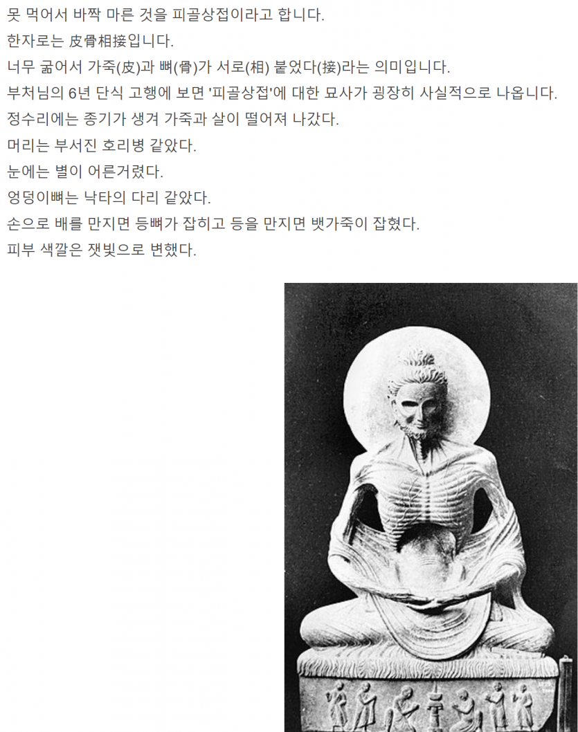 스스로선택한고난의길(1)