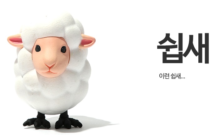 하키 보스통(0)