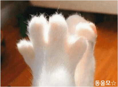 눈이 일찍 떠져 버렸닷(0)