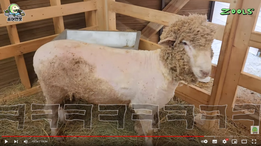 ㅋㅋㅋㅋㅋ아니 왜(0)