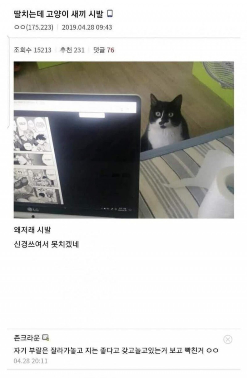 [유머] 이유 있는 분노(0)
