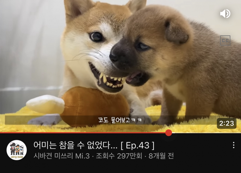 ㅋㅋㅋㅋㅋ 너무 귀엽네여(0)