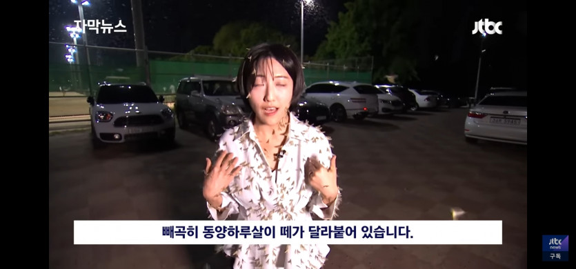 이거 견딜수 있으신분... 계실까요(0)