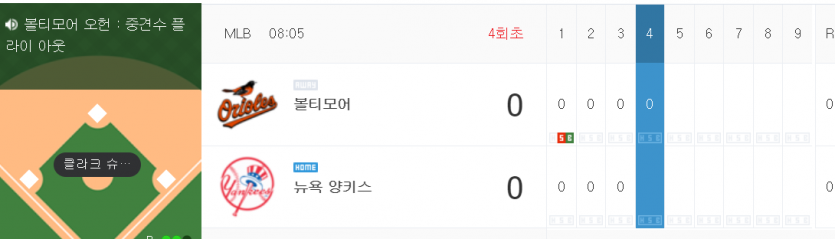 양키(0)