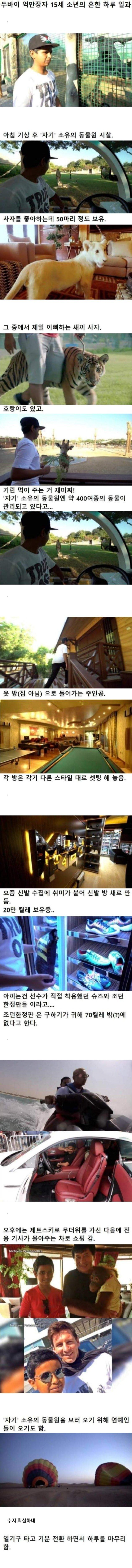 두바이 15살 억만장자의 일상.jpg(0)