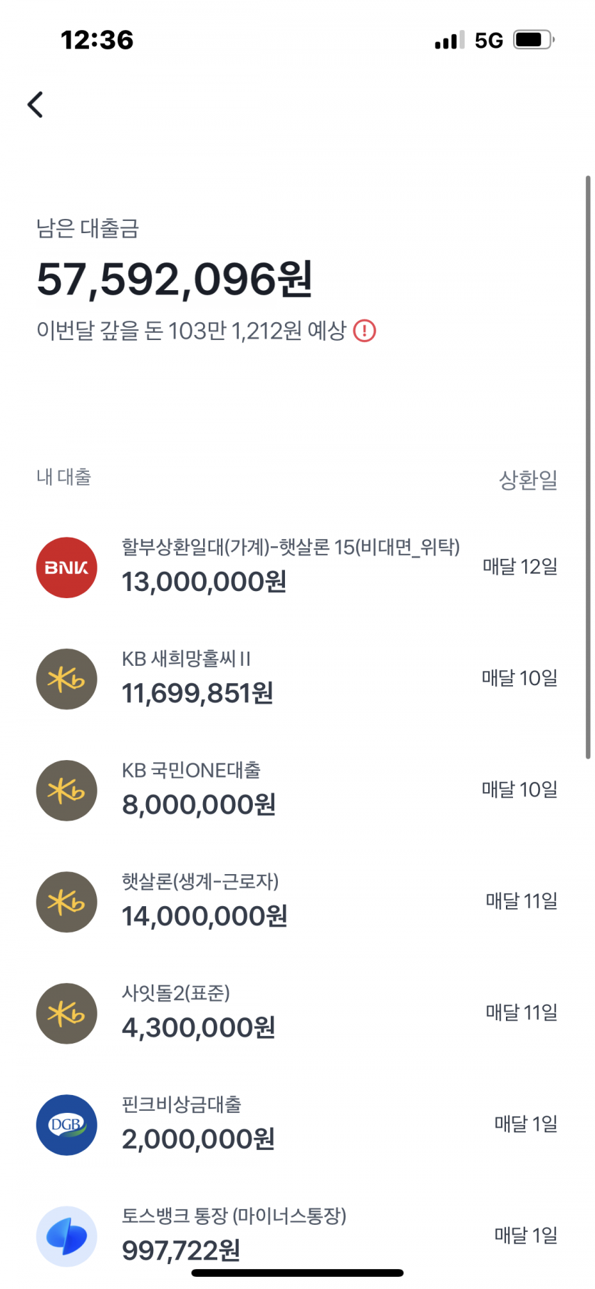 빚(1)