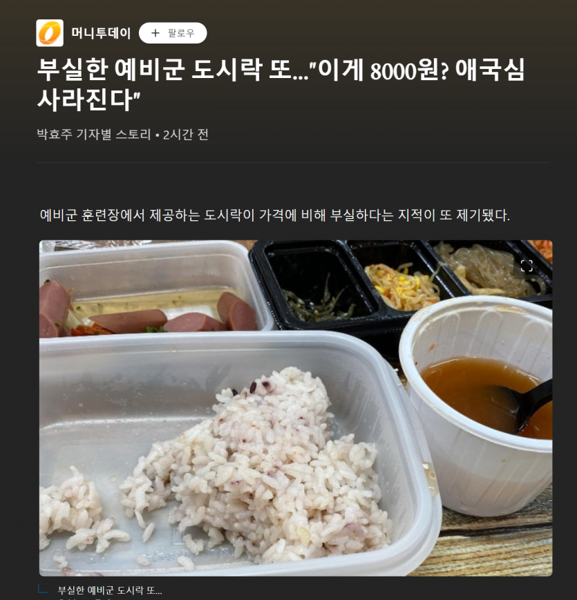 부실한 예비군 도 시 락(0)