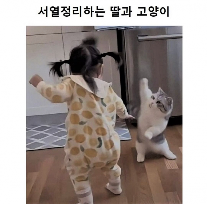 서열정리하는 딸과 고양이(0)