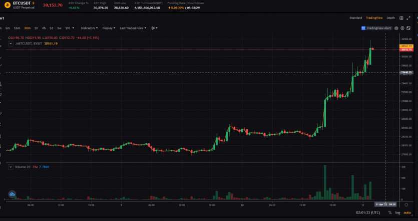 btc 3만달러돌파(0)