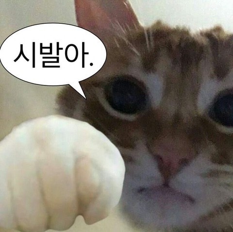 흠흠 포바로 이득을(0)