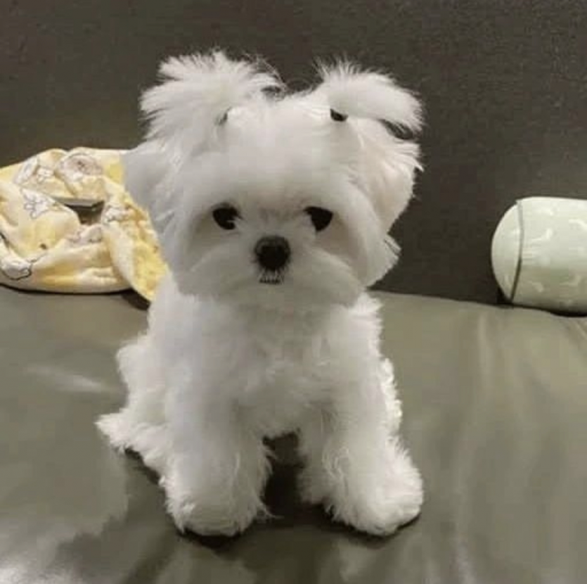 다행이다!!!!(0)