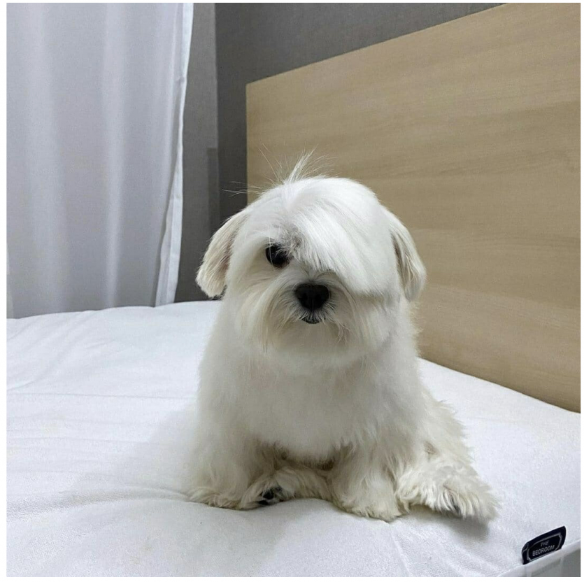 오늘도 화이팅 입니다!!(0)