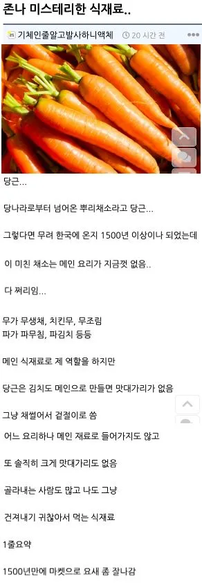 한국에 온 지 1500년 이상 되었는데 아직 있는 미스테리한 식재료.jpg(0)