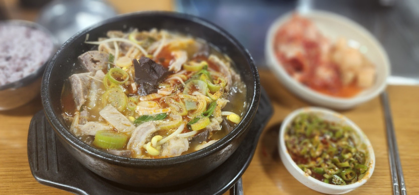 김뿡도 좋아하는(0)