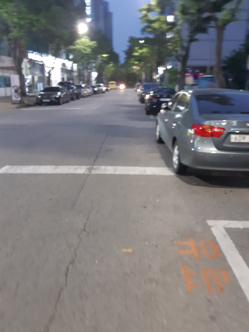 2023.05.21 산책 후기(1)