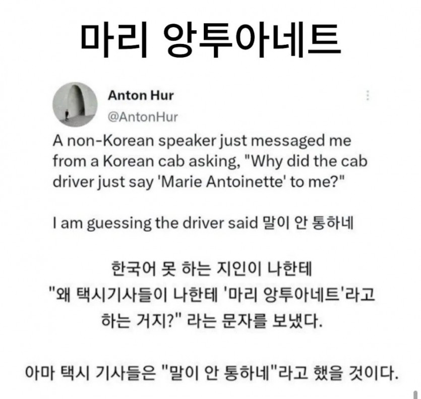왜 택시기사들이 나한테 마리 앙투아네트 라고 하는거지(0)