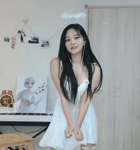 토토(0)
