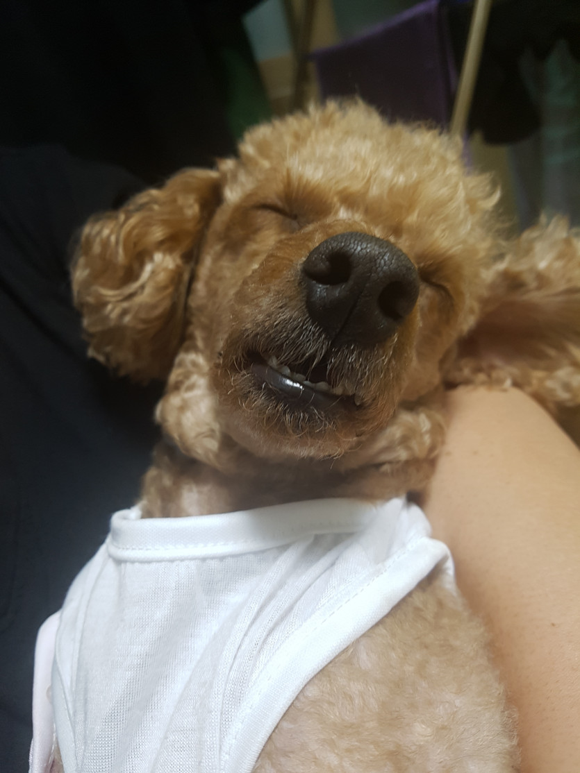 먼저 자러 갑니다...(0)