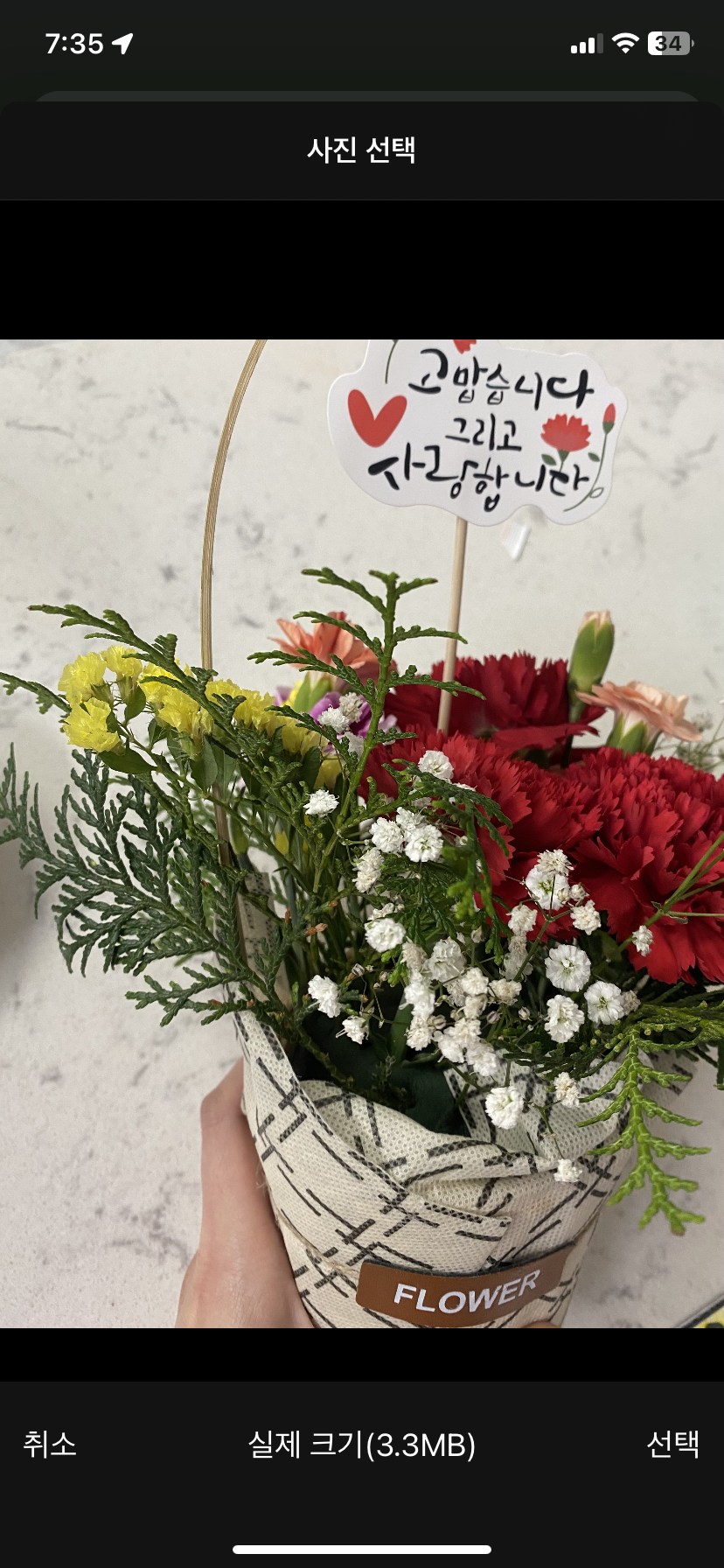 아들이준 카네이션(0)