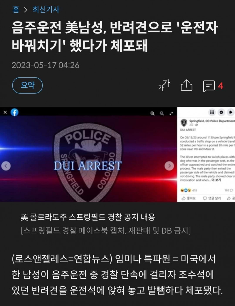 우리 개가 했어요.jpg(0)