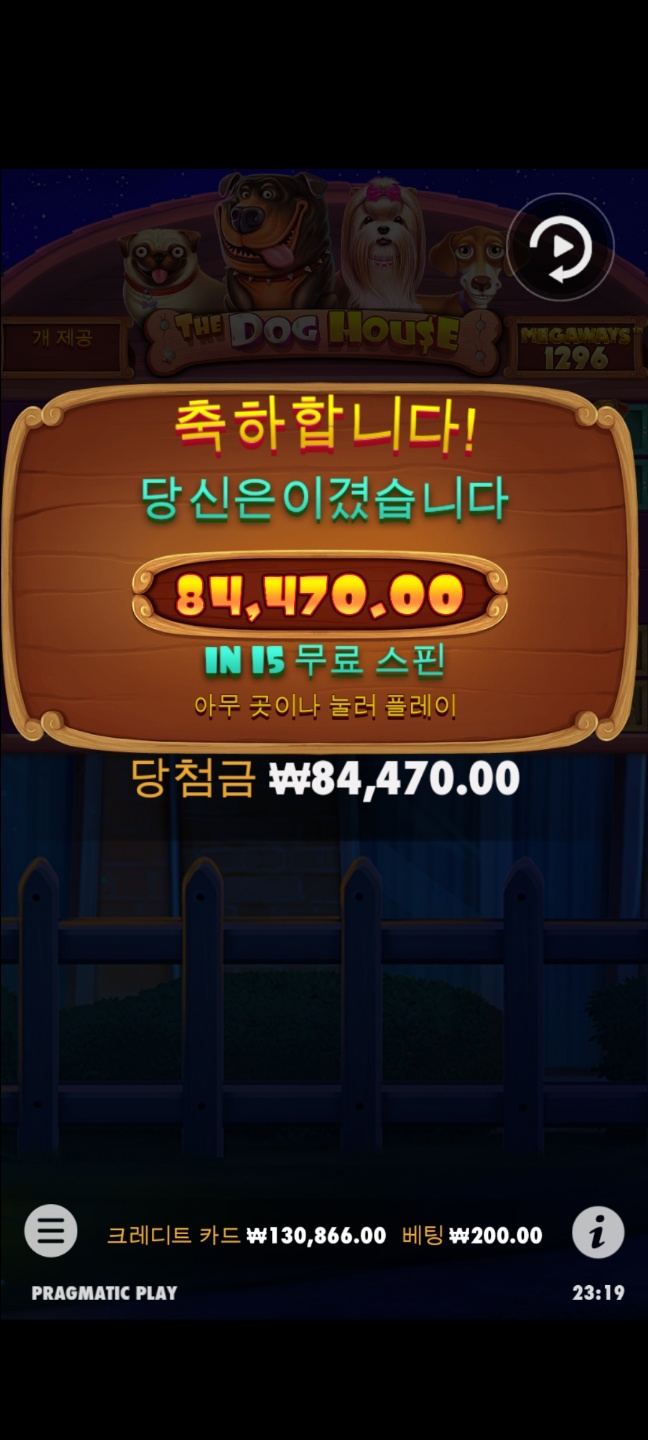 개집 프리구매 시작했는데(1)