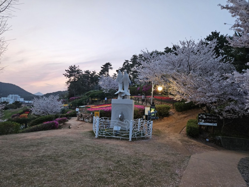 늦은 벚꽃 구경(1)