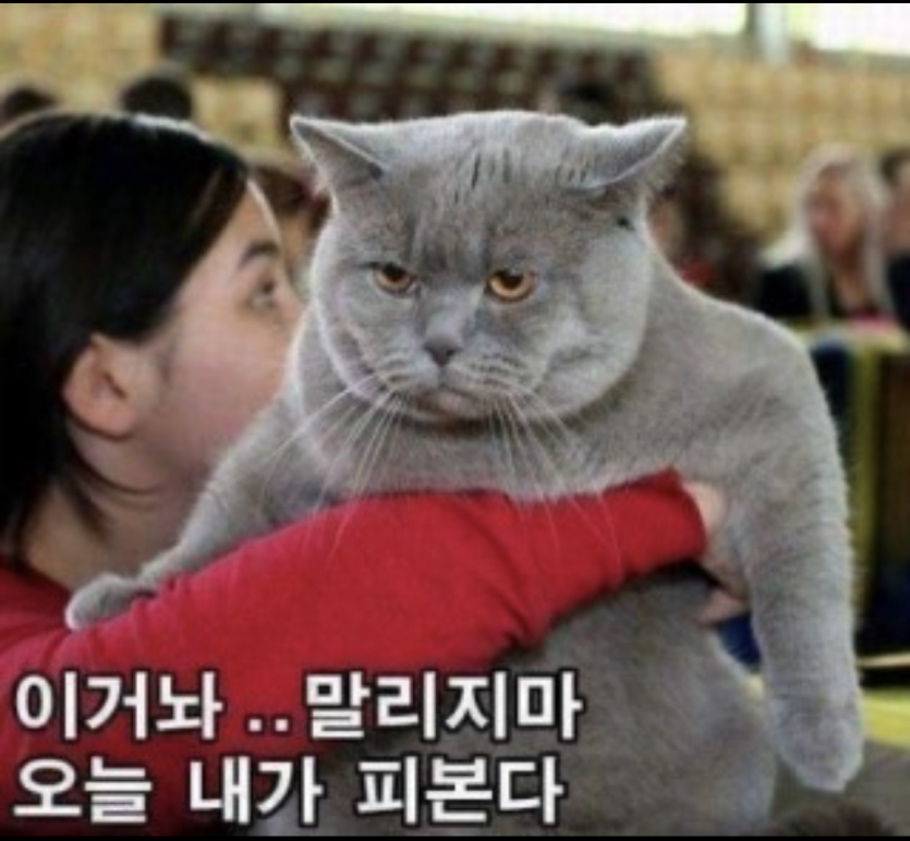 아니..내일 비소식이라니..(0)