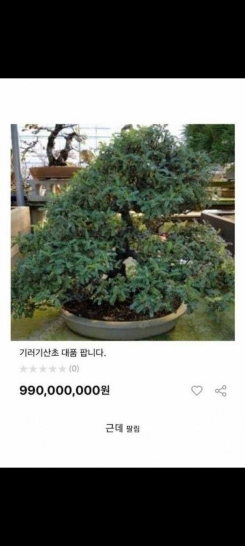 중고거래식물가격(0)
