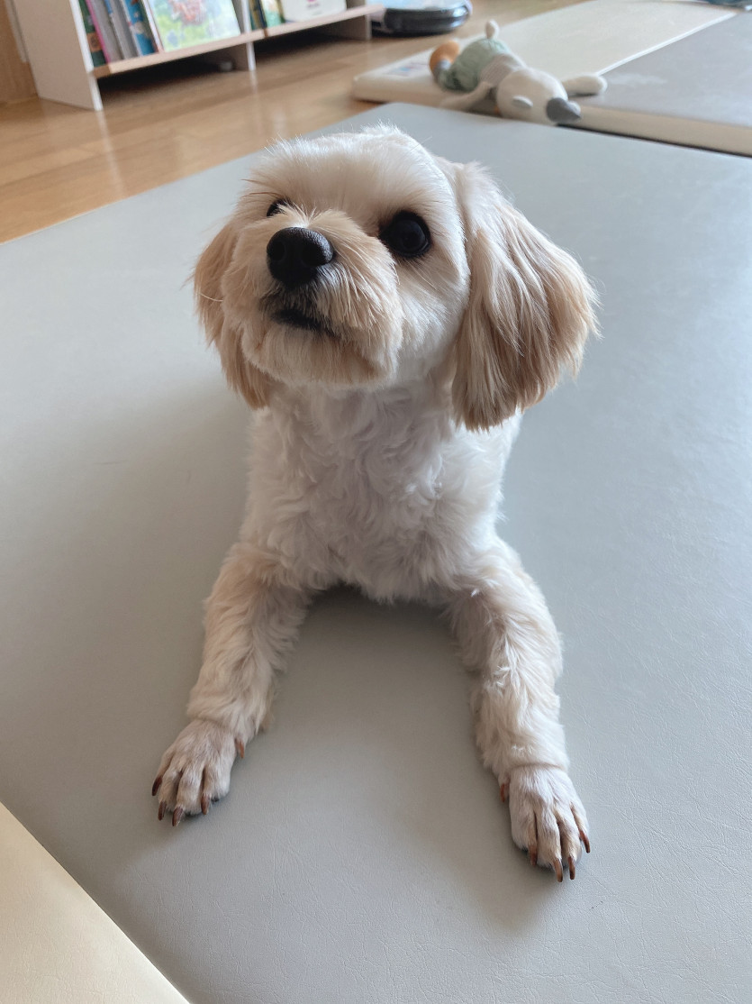 ㅎㅎ징징이 오늘 일찍들어가볼께여(0)