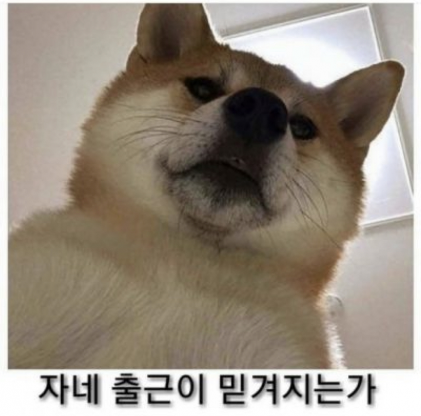 월요일 화이팅입니다!!(0)