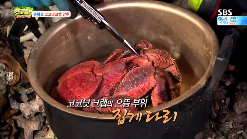 정글의 법칙 초호화 식단 논란(0)
