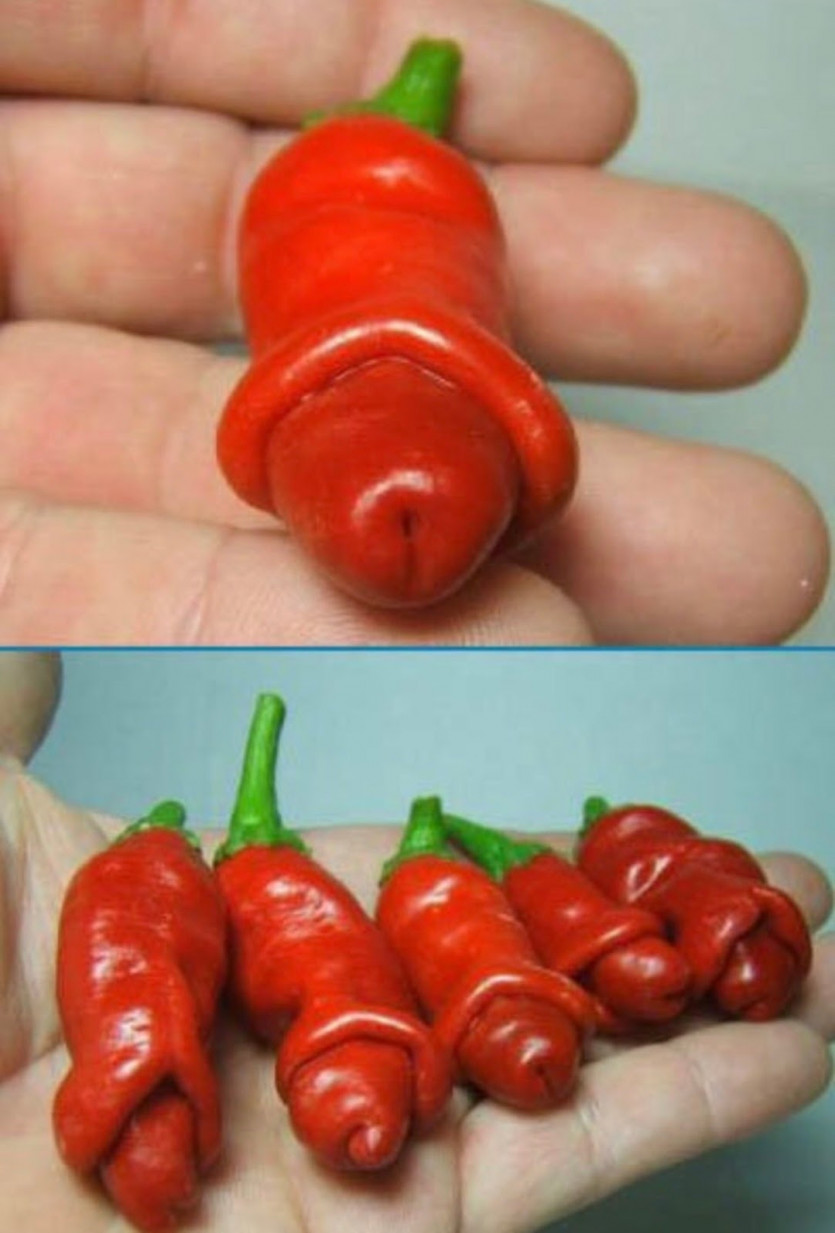 만약 바카라 그림이 이미 형성된 패턴이면..(0)