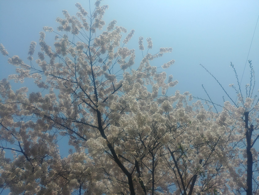 오랜만에 사진 찍어봤네요.(0)