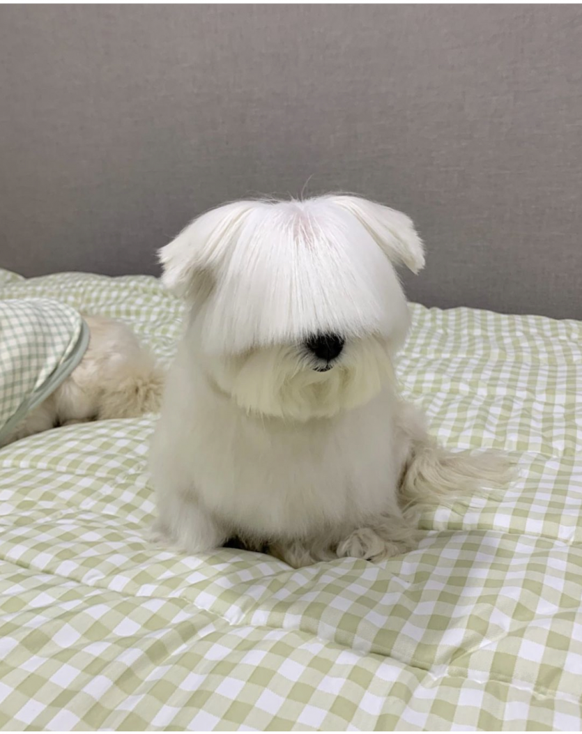 출석은 역시 천포지 ㅎㅎ(0)