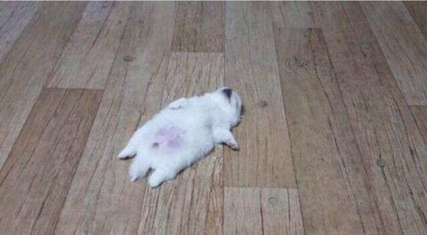 오늘 하루도 고생많으셨습니다!!(0)