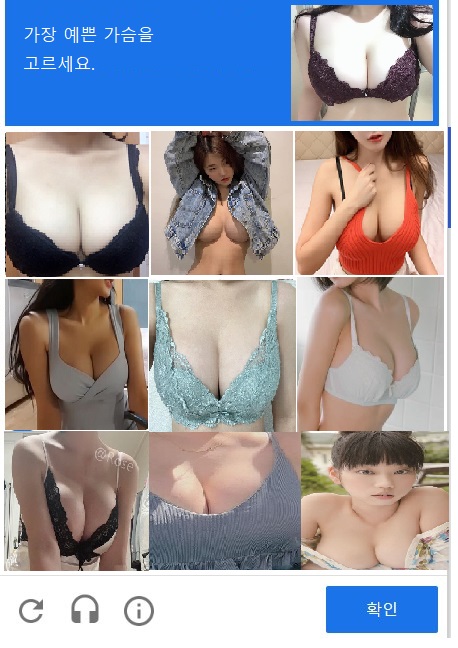 아 진짜 리캡챠 너무빡치는데.. 관리자님 이런 리캡챠는 어떠십니까..?(0)
