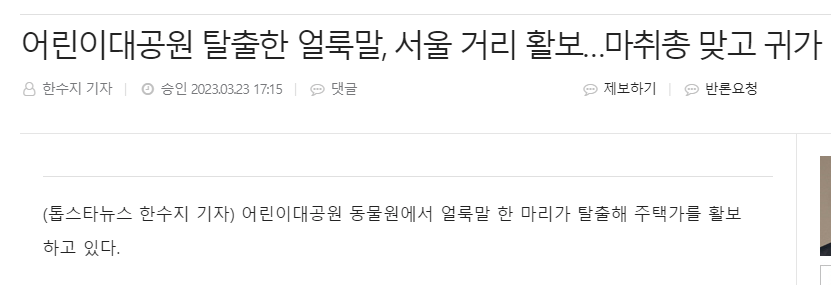 베르기옹님이 올려주셨던 탈출한 얼룩말(0)