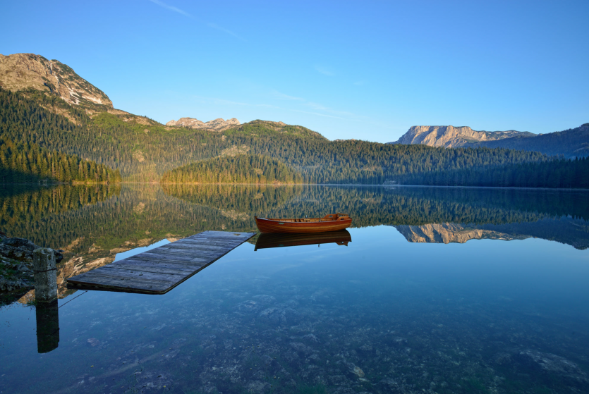 평정심(0)